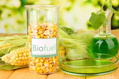 Llwyneinion biofuel availability