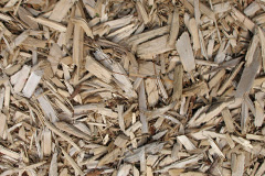 biomass boilers Llwyneinion
