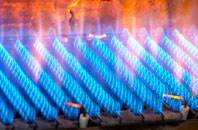 Llwyneinion gas fired boilers